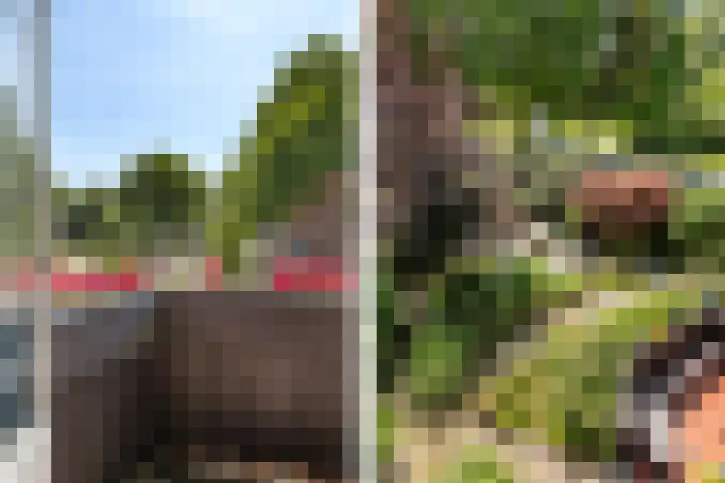 Oranjelaan 119 Dordrecht thumbnail 33