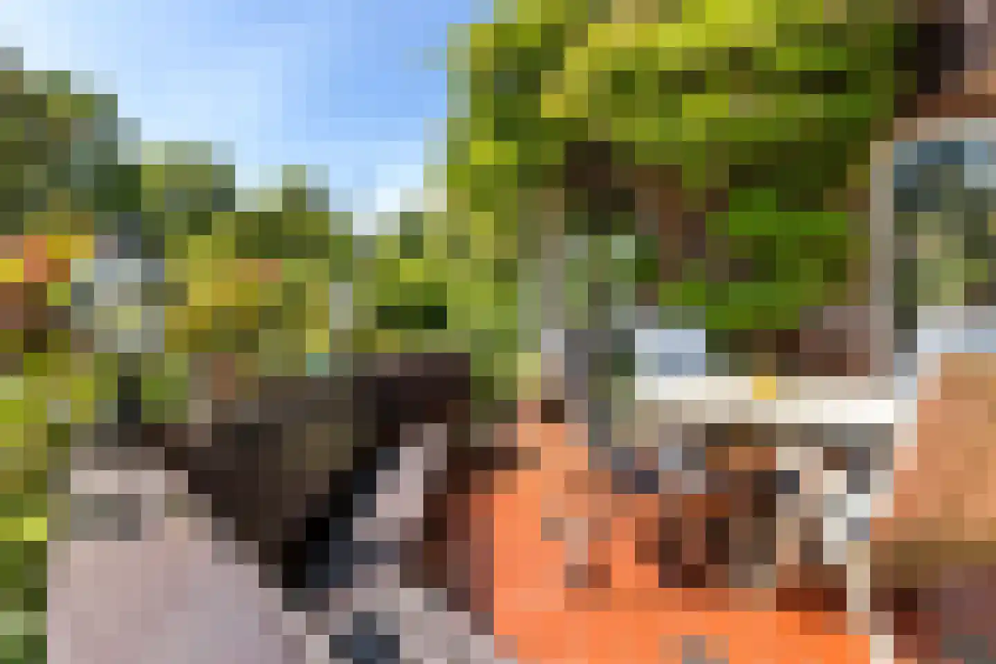 Oranjelaan 119 Dordrecht thumbnail 41