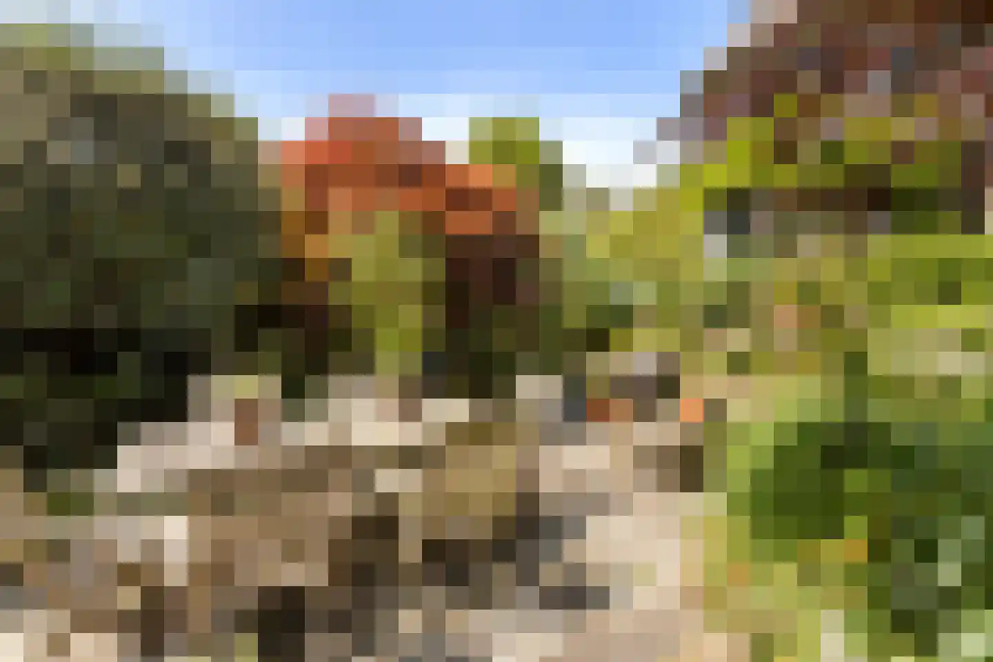 Oranjelaan 119 Dordrecht thumbnail 44