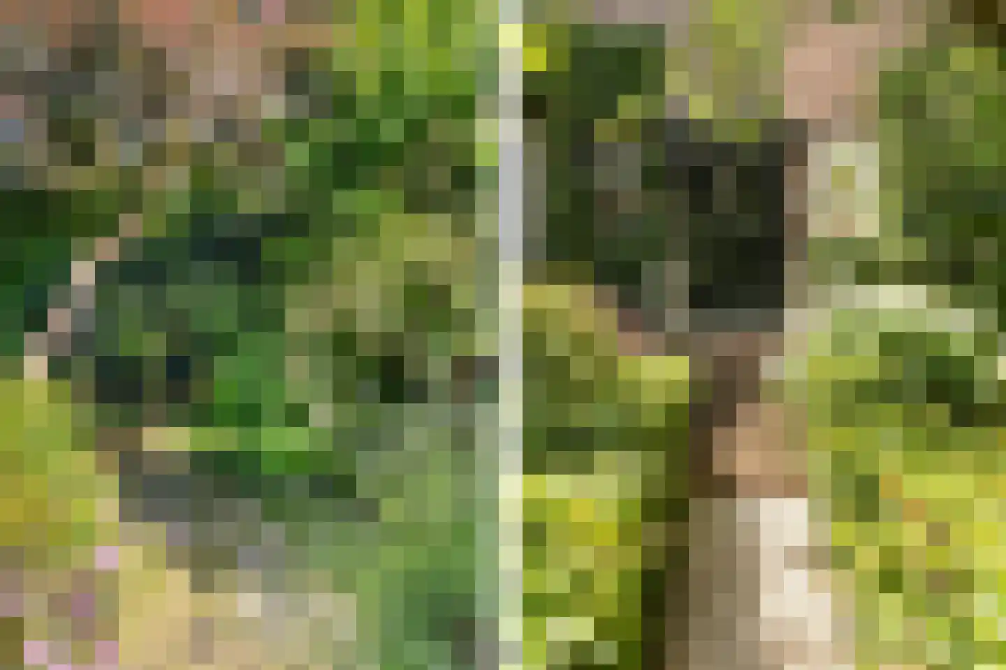 Oranjelaan 119 Dordrecht thumbnail 6