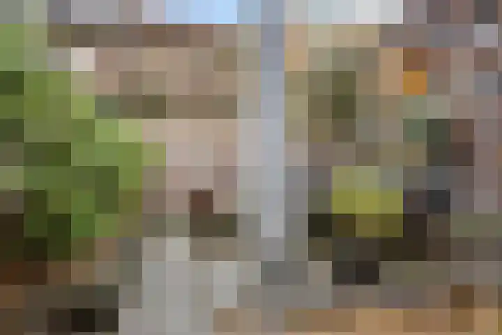 Oranjelaan 12 B Ede thumbnail 16