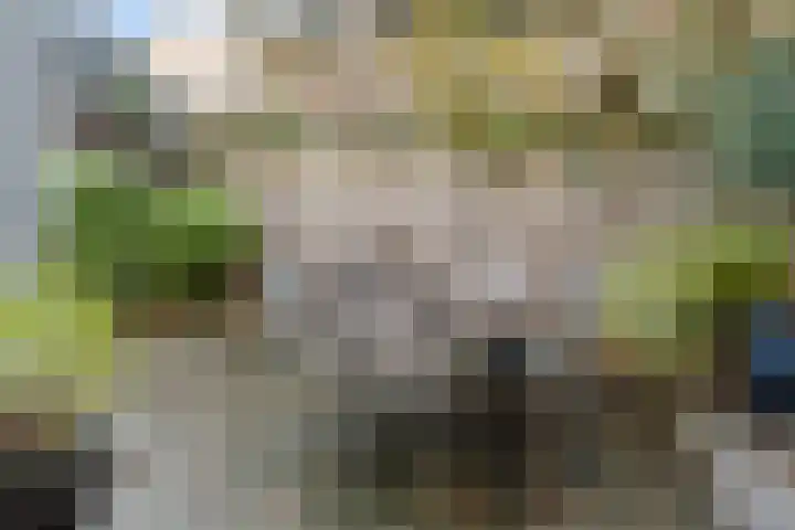 Oranjelaan 12 B Ede thumbnail 17