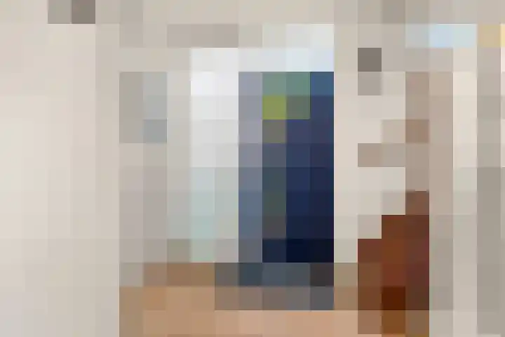 Oranjelaan 12 B Ede thumbnail 18