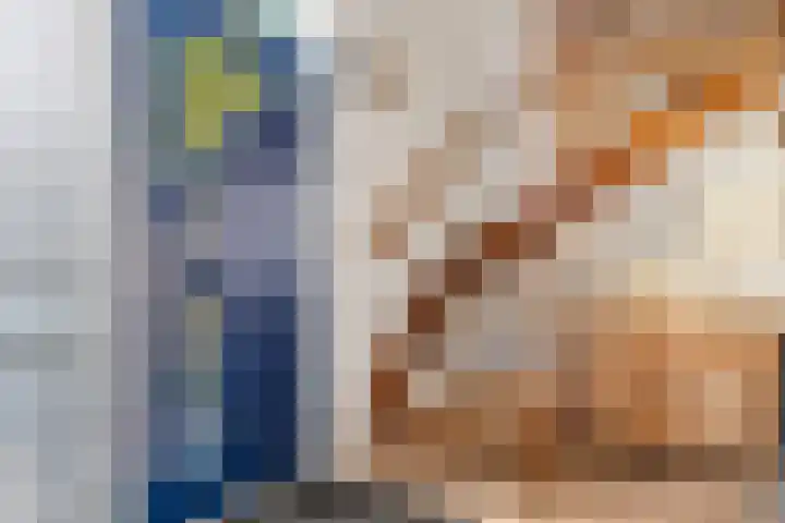 Oranjelaan 12 B Ede thumbnail 19