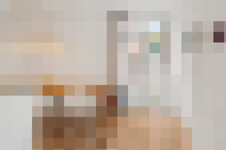 Oranjelaan 12 B Ede thumbnail 29