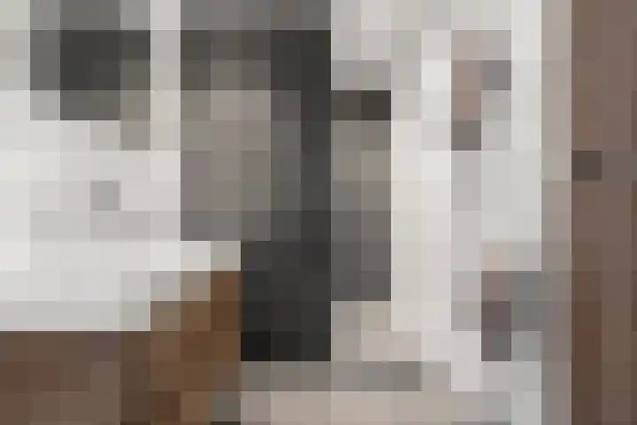 Oranjelaan 12 B Ede thumbnail 4