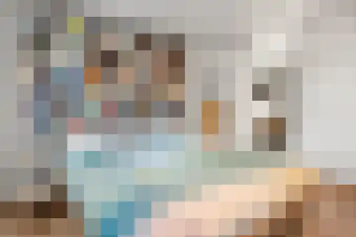 Oranjelaan 12 B Ede thumbnail 42
