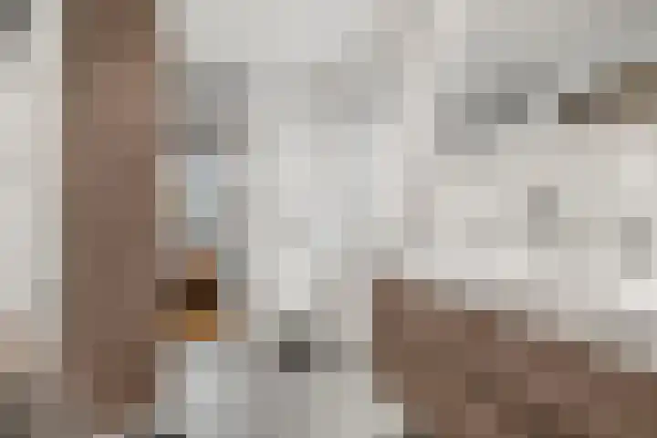 Oranjelaan 12 B Ede thumbnail 46