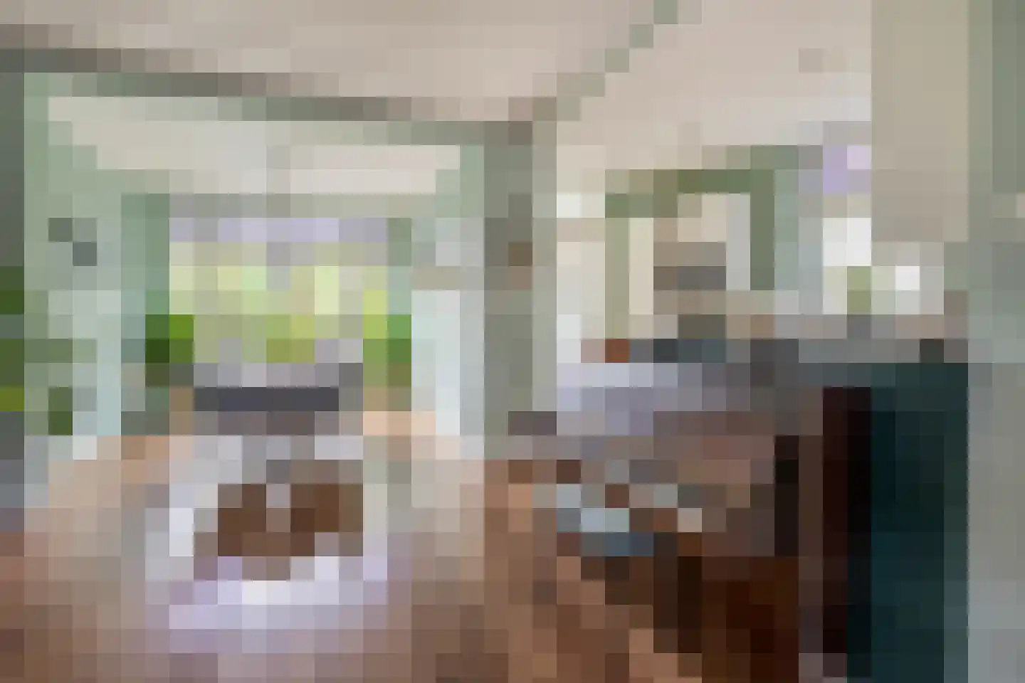 Oranjelaan 12 Waddinxveen thumbnail 14
