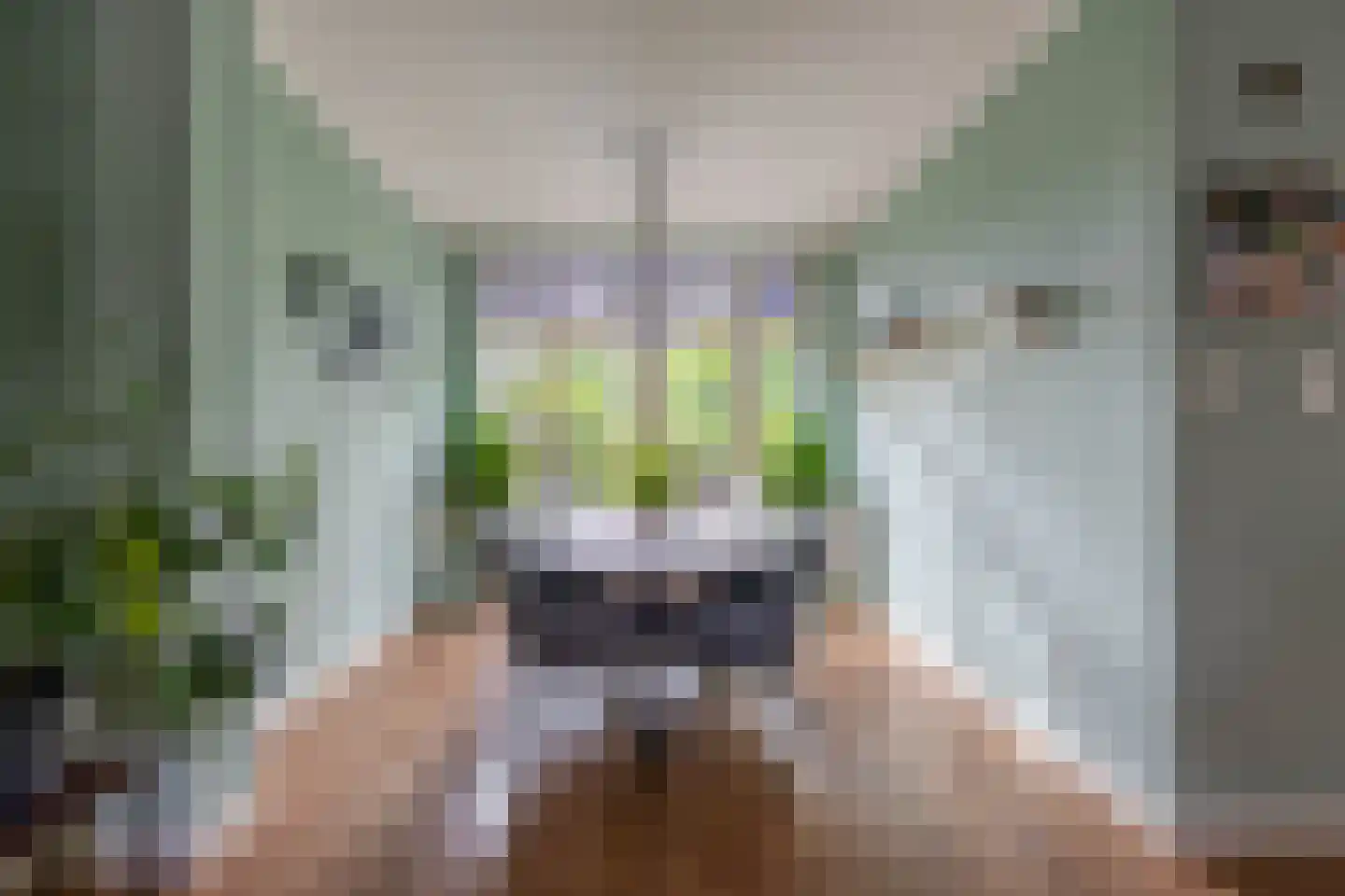 Oranjelaan 12 Waddinxveen thumbnail 17