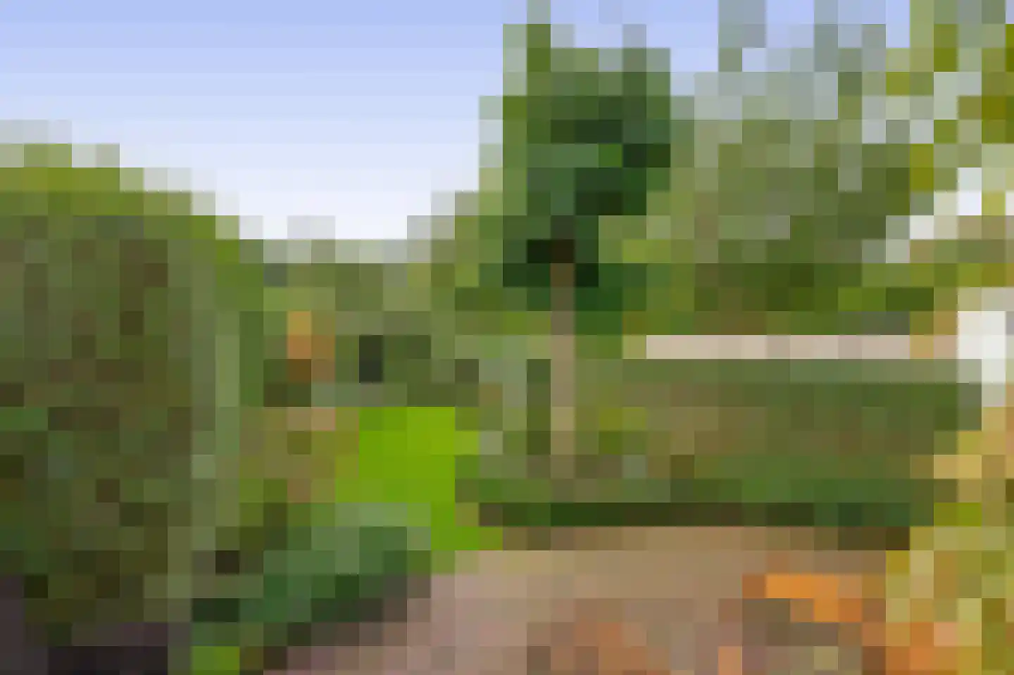 Oranjelaan 12 Waddinxveen thumbnail 24