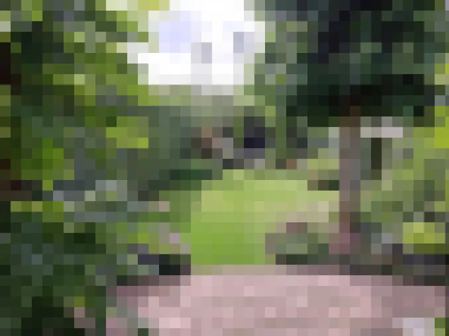 Oranjelaan 12 Waddinxveen thumbnail 25