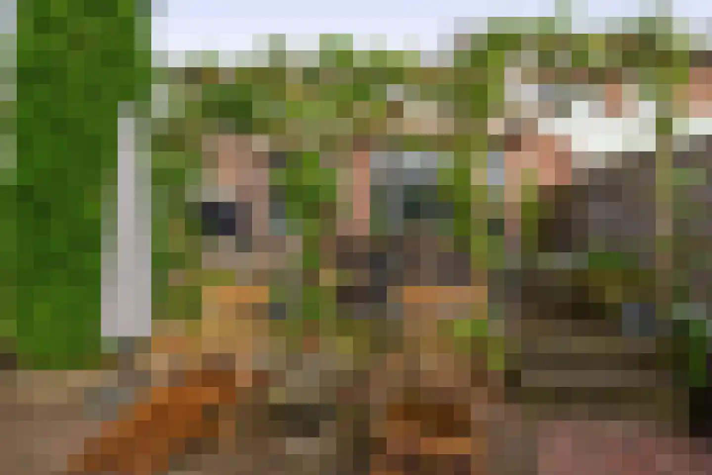 Oranjelaan 12 Waddinxveen thumbnail 27