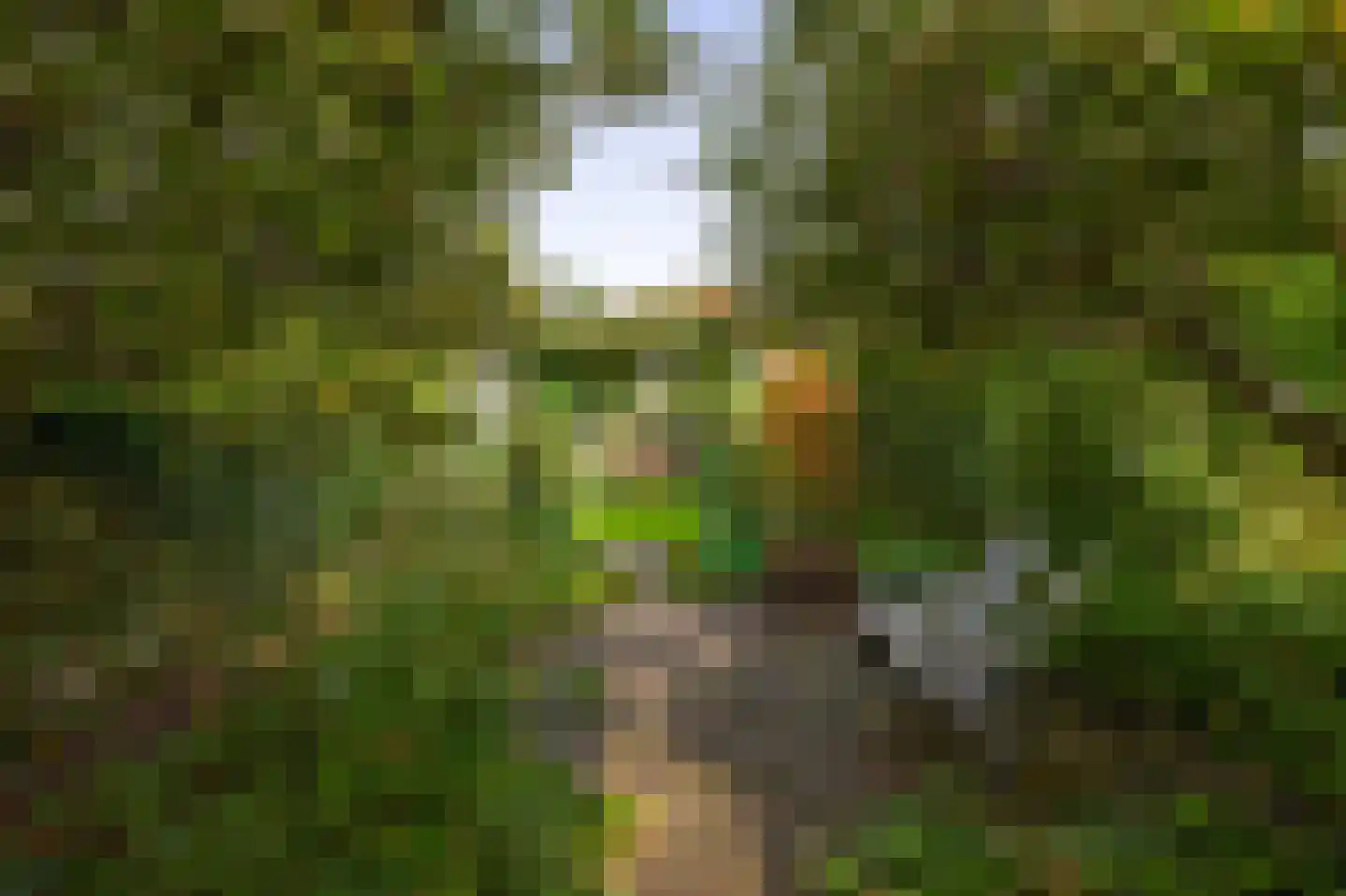 Oranjelaan 12 Waddinxveen thumbnail 28