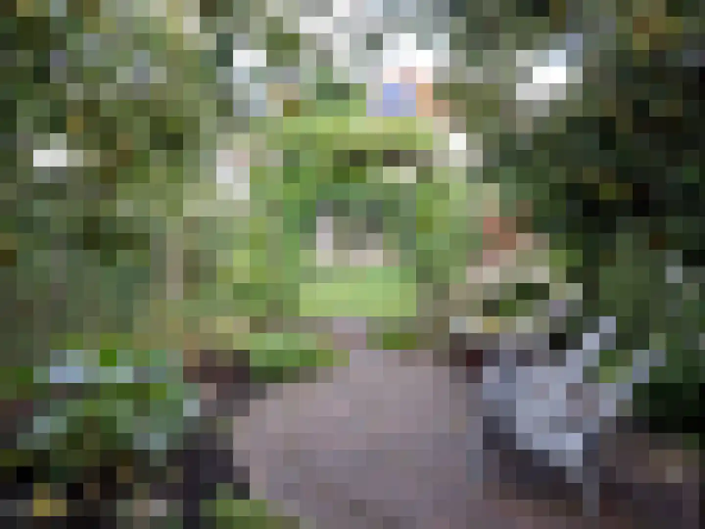Oranjelaan 12 Waddinxveen thumbnail 29