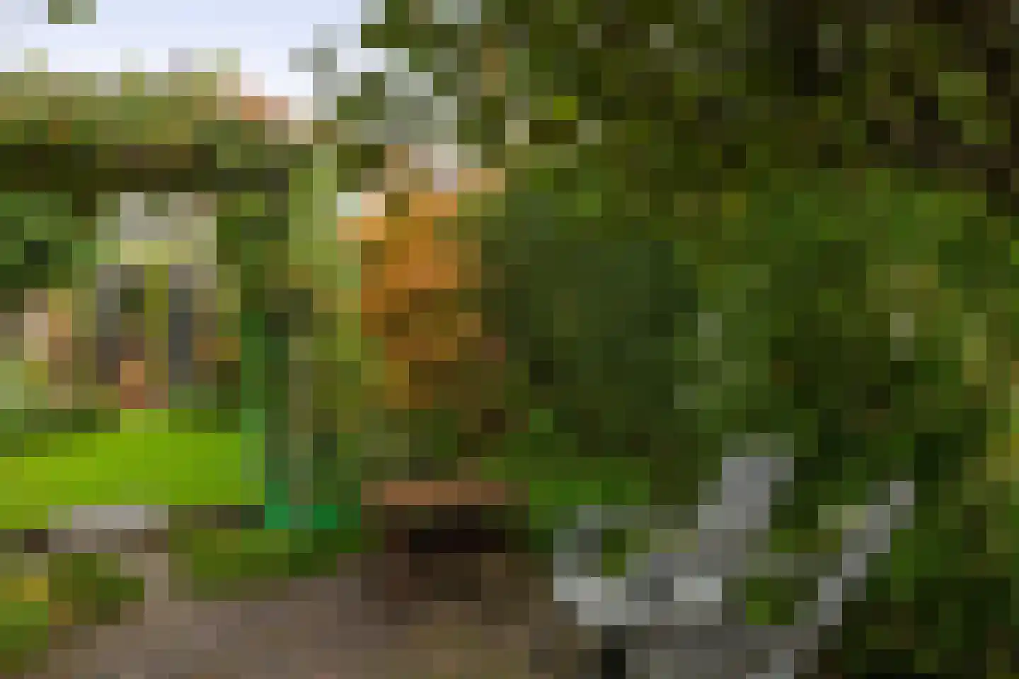 Oranjelaan 12 Waddinxveen thumbnail 30