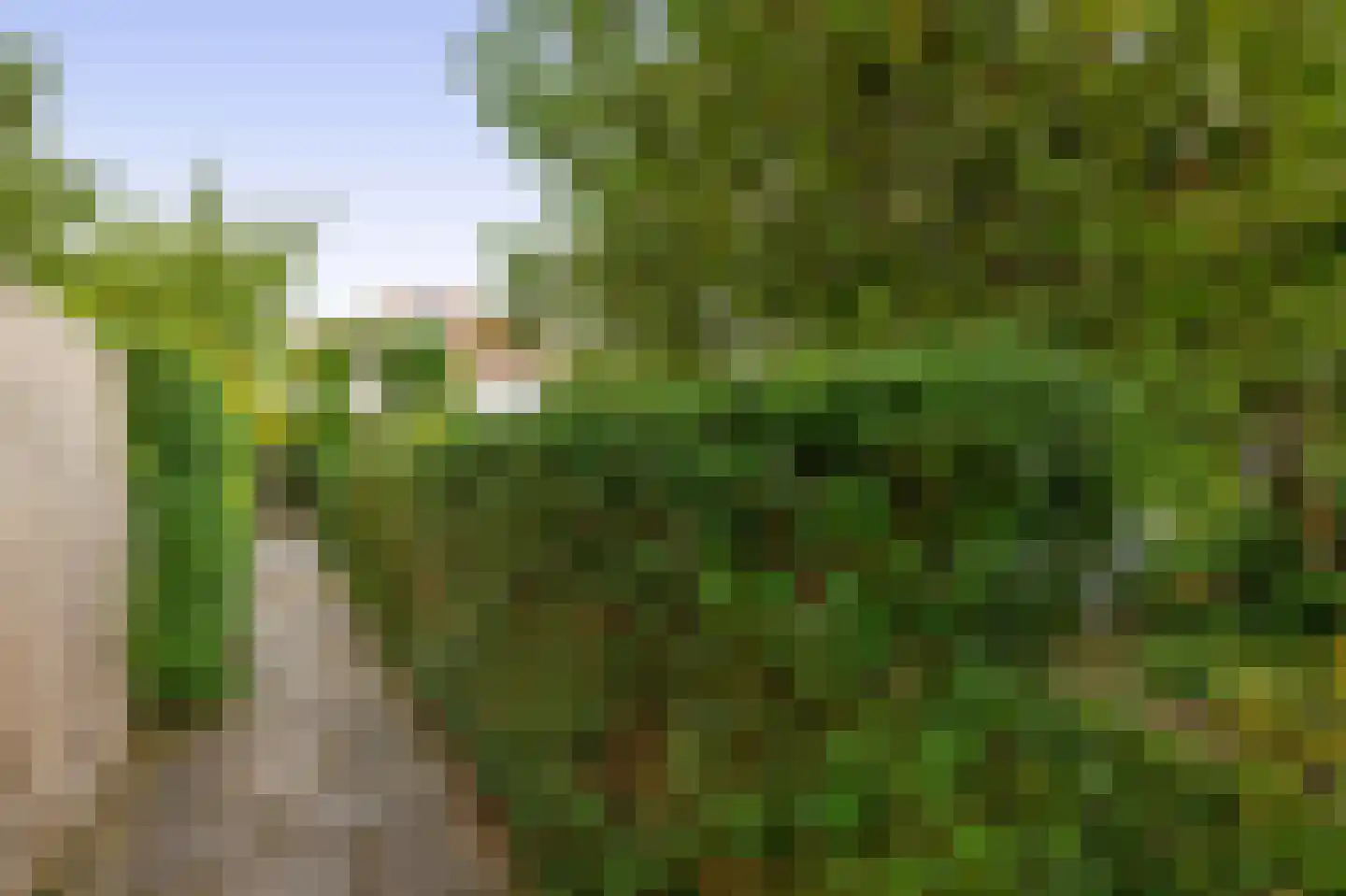 Oranjelaan 12 Waddinxveen thumbnail 32