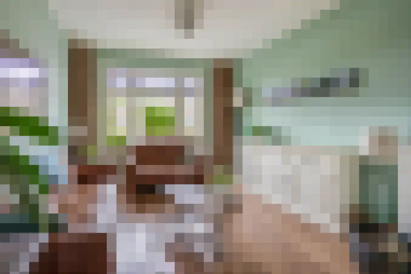Oranjelaan 12 Waddinxveen thumbnail 4
