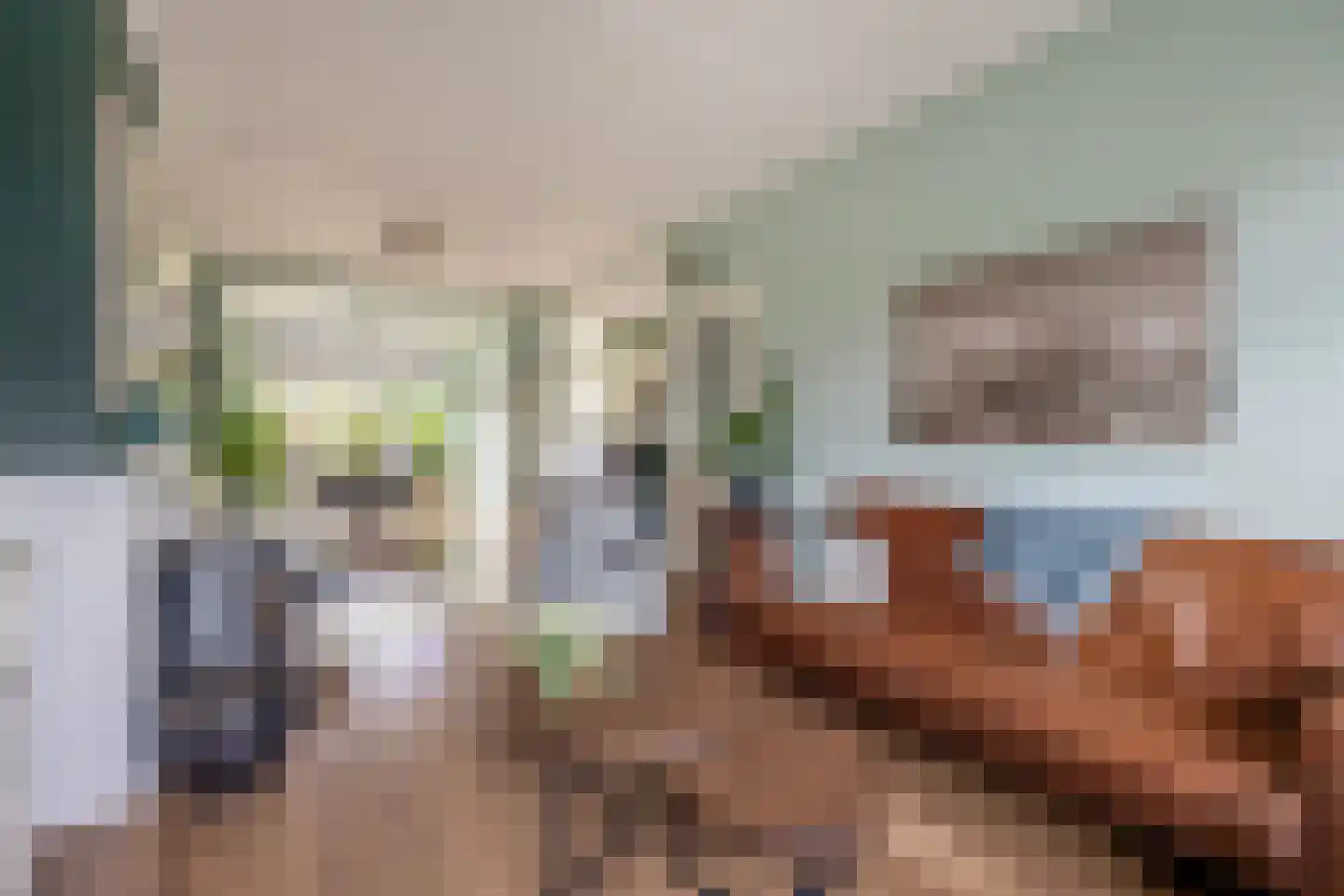 Oranjelaan 12 Waddinxveen thumbnail 5