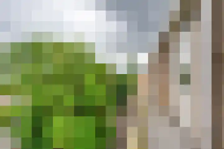 Oranjelaan 120 Dordrecht thumbnail 21