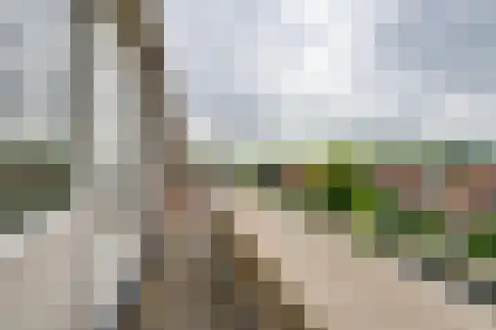 Oranjelaan 120 Dordrecht thumbnail 22