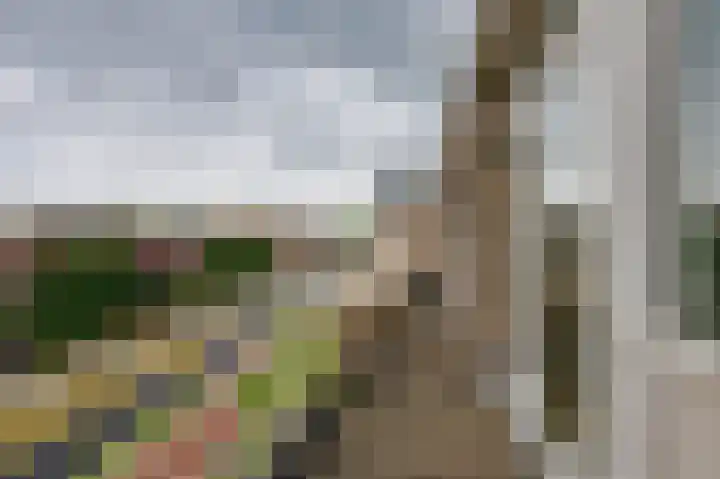 Oranjelaan 120 Dordrecht thumbnail 23