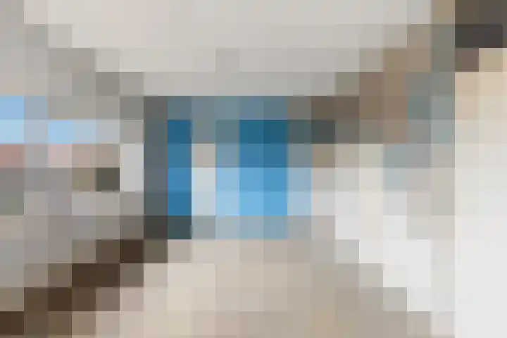 Oranjelaan 122 Dordrecht thumbnail 12
