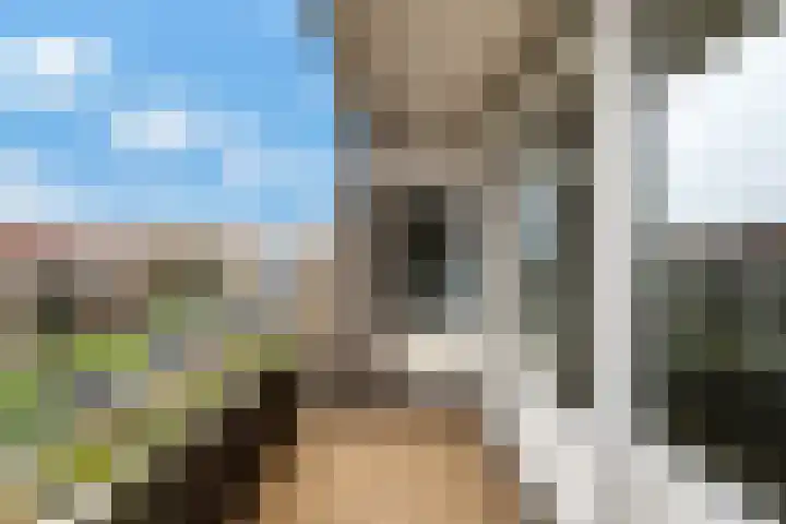 Oranjelaan 122 Dordrecht thumbnail 22