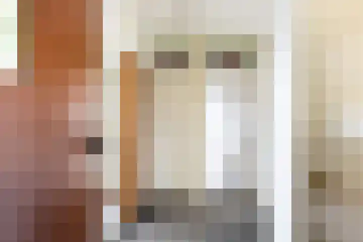 Oranjelaan 122 Dordrecht thumbnail 7