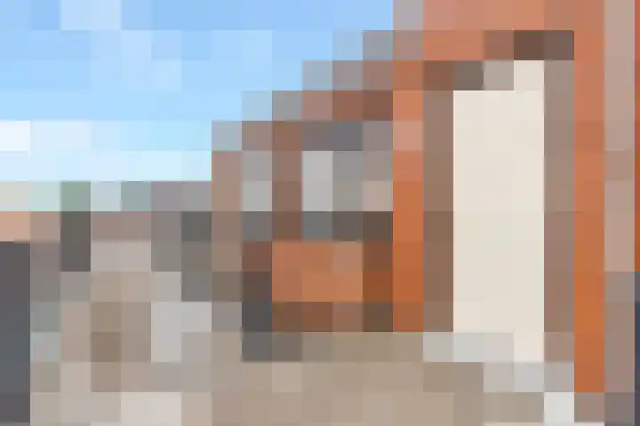 Oranjelaan 13 a Nijkerk thumbnail 11