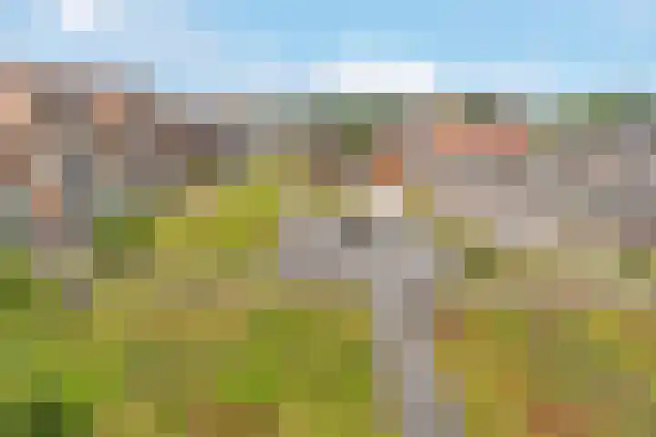 Oranjelaan 13 a Nijkerk thumbnail 23