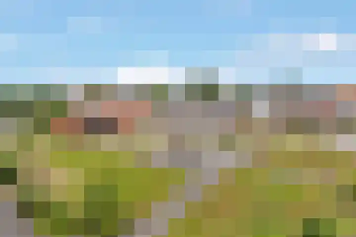 Oranjelaan 13 a Nijkerk thumbnail 24