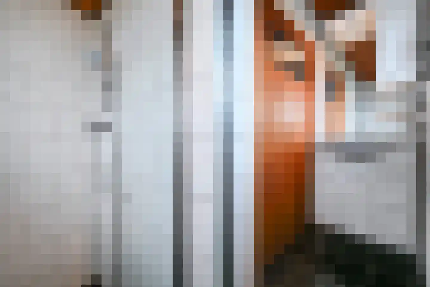 Oranjelaan 14 Leidschendam thumbnail 21