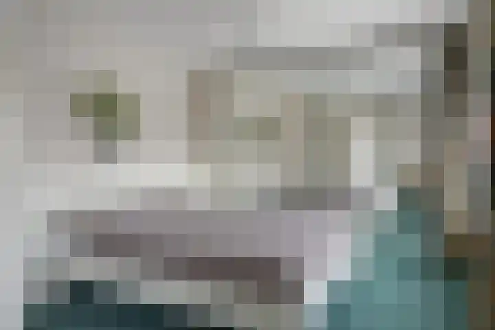 Oranjelaan 14 Vlijmen thumbnail 14