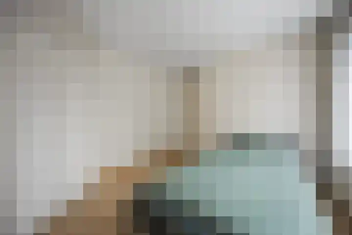 Oranjelaan 14 Vlijmen thumbnail 17