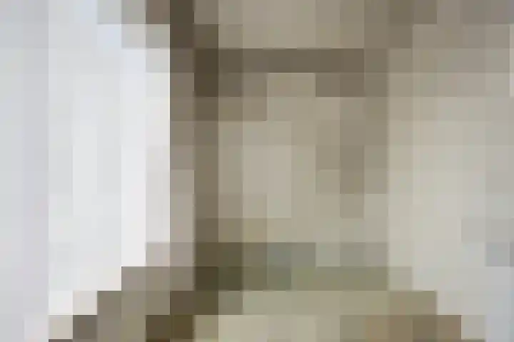 Oranjelaan 14 Vlijmen thumbnail 19