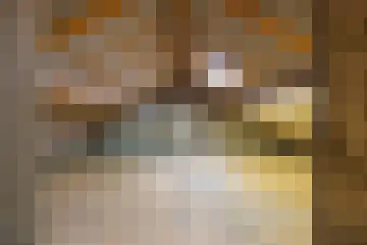 Oranjelaan 14 Vlijmen thumbnail 20