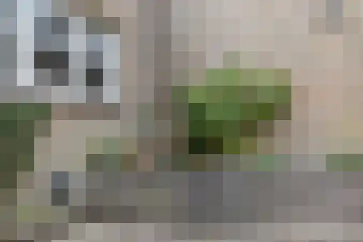Oranjelaan 14 Vlijmen thumbnail 24