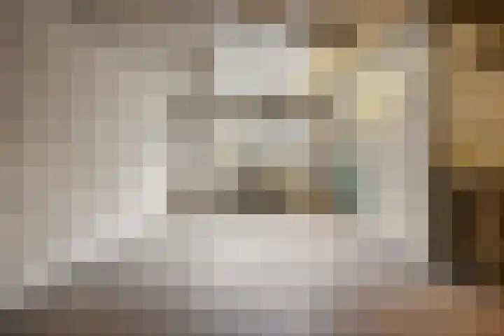 Oranjelaan 14 Vlijmen thumbnail 28