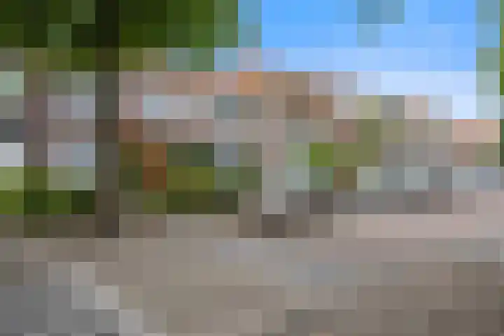 Oranjelaan 14 Vlijmen thumbnail 30
