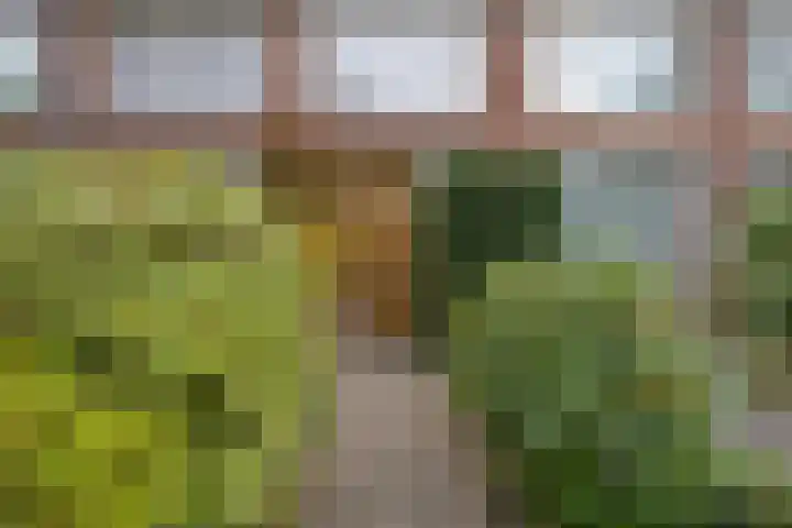 Oranjelaan 14 Vlijmen thumbnail 5