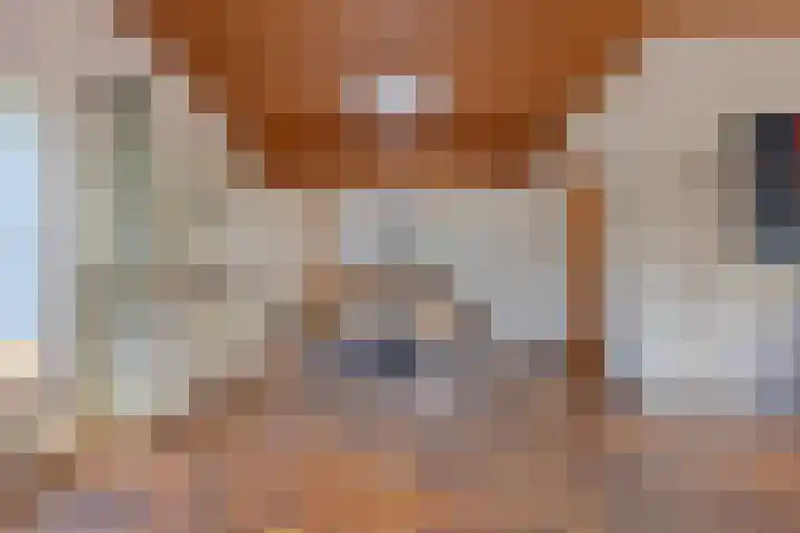 Oranjelaan 15 Alkmaar thumbnail 11