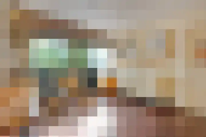 Oranjelaan 15 Alkmaar thumbnail 19