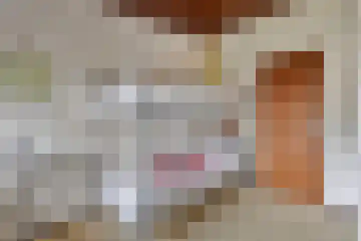 Oranjelaan 15 Alkmaar thumbnail 27