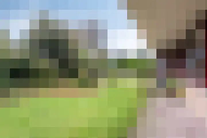 Oranjelaan 15 Alkmaar thumbnail 36