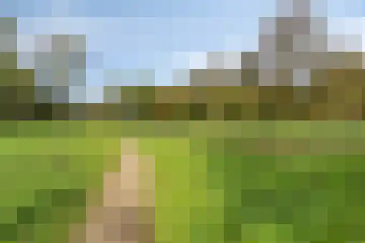 Oranjelaan 15 Alkmaar thumbnail 39