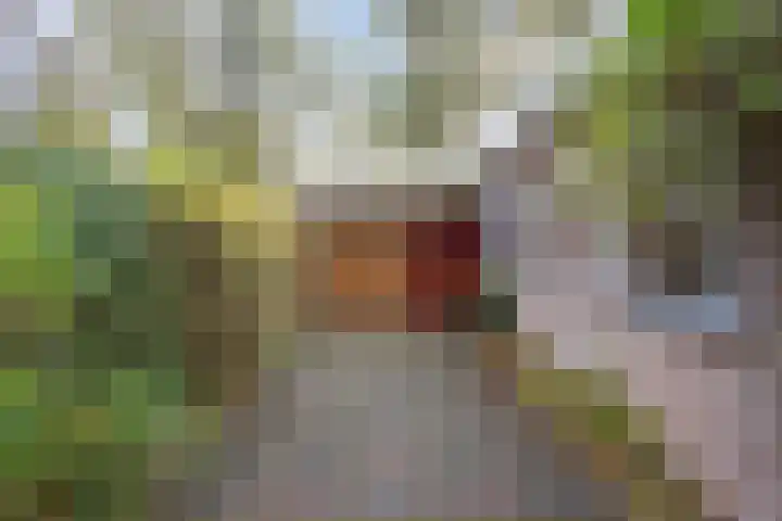 Oranjelaan 15 Alkmaar thumbnail 6