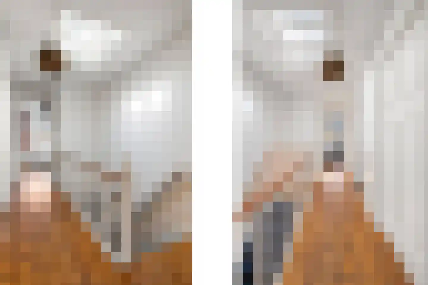 Oranjelaan 15 Rotterdam thumbnail 28
