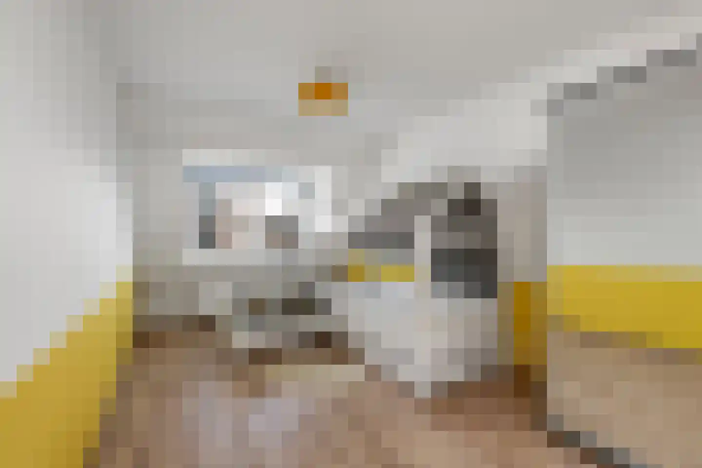 Oranjelaan 15 Rotterdam thumbnail 30