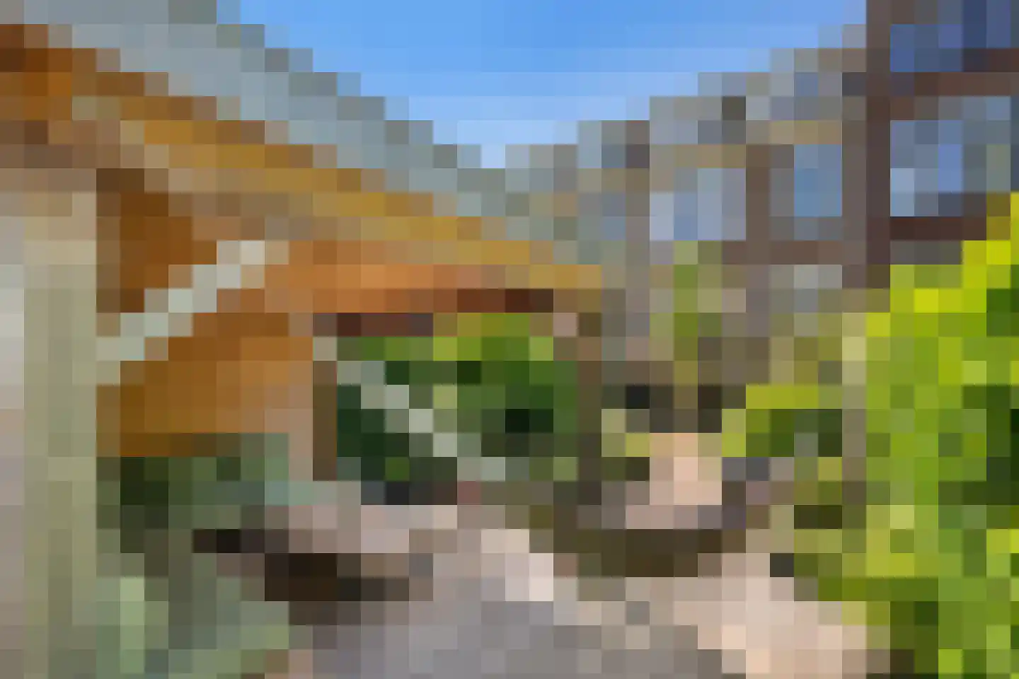 Oranjelaan 15 Rotterdam thumbnail 38